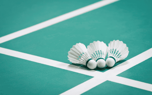 Badminton in Deutschland: Ein Leitfaden für Enthusiasten