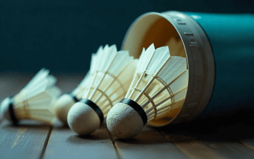 Badminton Ballhalter Test: Die 5 besten (Bestenliste)