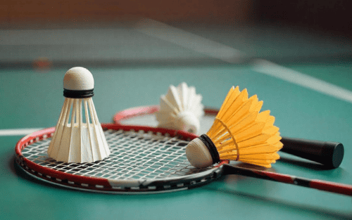 Badminton Zubehör Set Test: Die 4 besten (Bestenliste)
